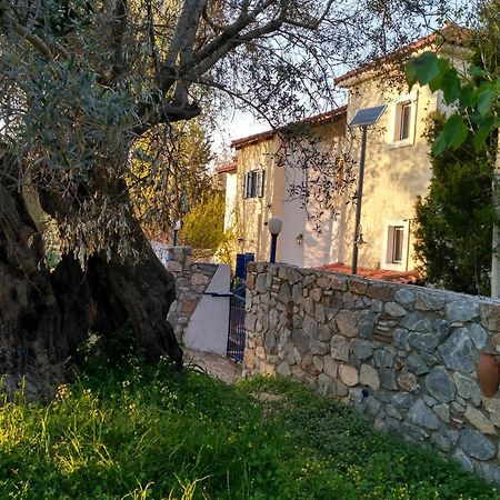 9 Musses Hotel Apartments Skala Mistegnon Eksteriør billede
